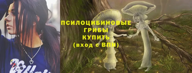 купить закладку  Алексеевка  mega как войти  Псилоцибиновые грибы Psilocybine cubensis 